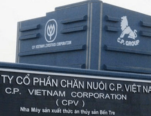 CÔNG TY CỔ PHẦN CHĂN NUÔI C.P VIỆT NAM – CHI NHÁNH BẾN TRE